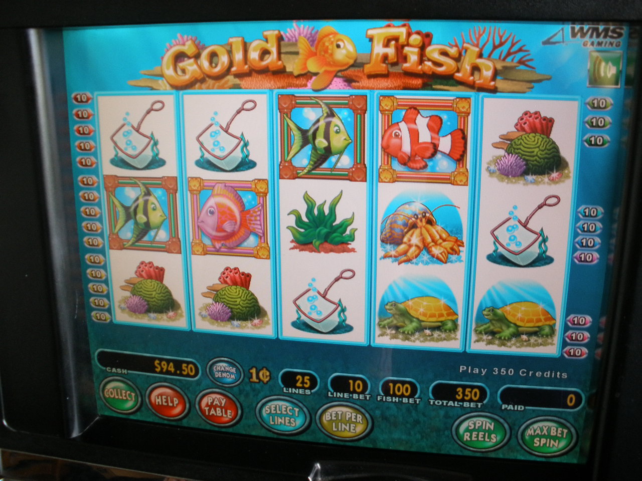 gold fish slot machine